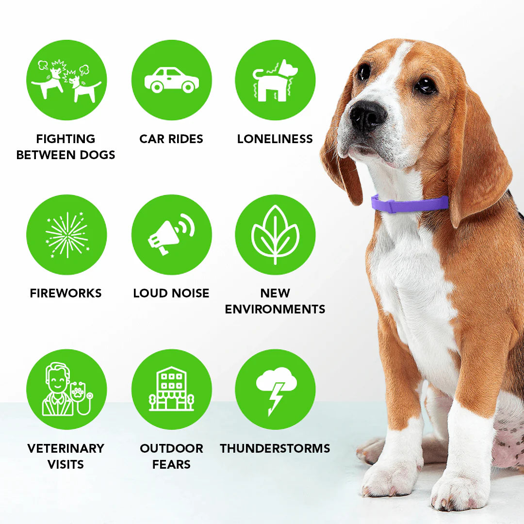 Natural Pheromone Calming Collar for Dogs