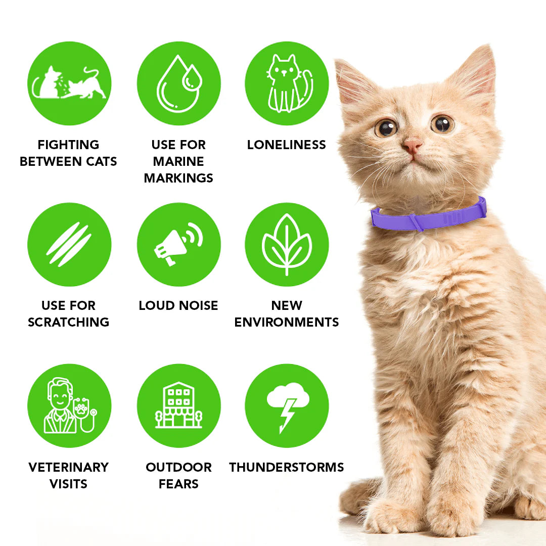 Natural Pheromone Calming Collar for Cats