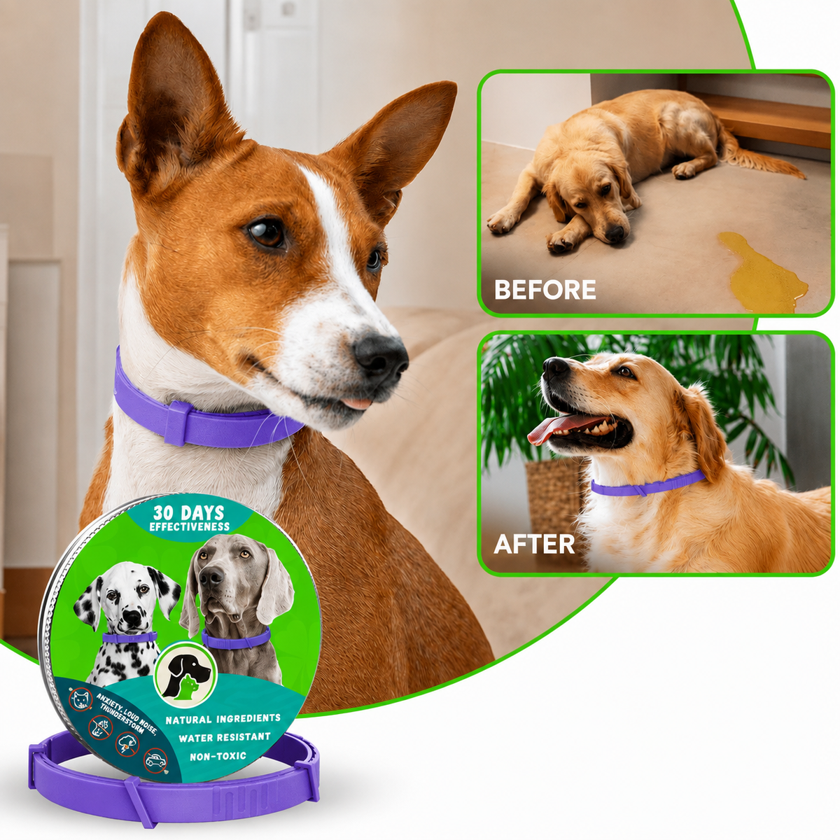 Natural Pheromone Calming Collar for Dogs